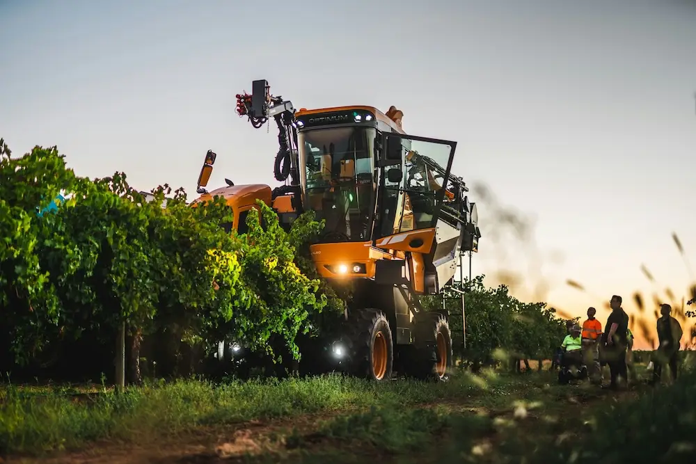 ขั้นตอนและกลยุทธ์การทำ Content Pruning เพื่อเพิ่มคุณภาพเว็บไซต์