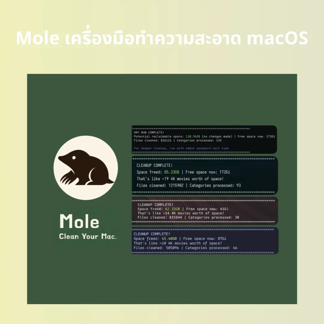 Mole เครื่องมือคลีน macOS สาย Minimal ผ่าน Terminal