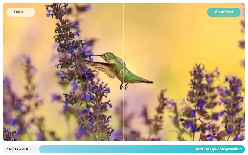 การใช้งานปลั๊กอิน ShortPixel เพื่อเพิ่มประสิทธิภาพรูปภาพใน WordPress