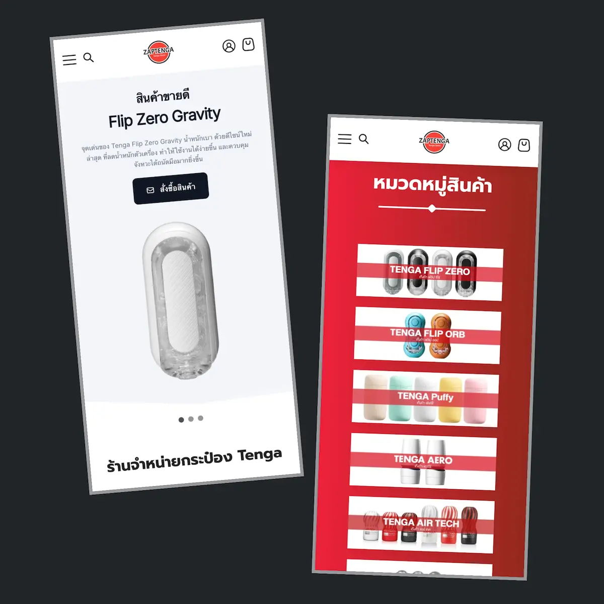 โปรเจกต์ Zaptenga